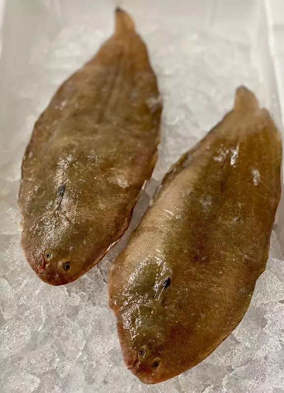 frische Seezungen ganz auf Eis liegend