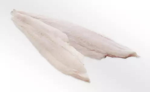 zwei rohe Seelachsfilets auf weißem Hintergrund