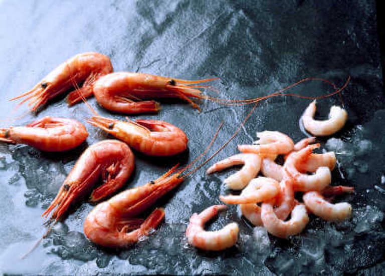 Eismeer-Shrimps, 150/250er,