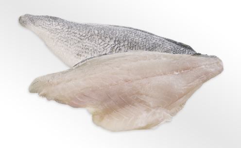 Frisches Fischfilet mit Haut Nahaufnahme von zwei Fischfilets mit silberner Haut und zartem Fleisch auf weißem Hintergrund