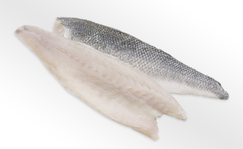 Frische Fischfilets mit Haut Zwei rohe Fischfilets, eines mit silberner Haut und eines ohne Haut, auf weißem Hintergrund