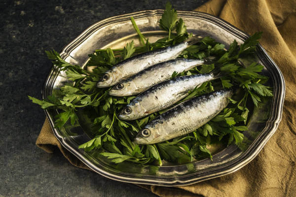 Sardellen, tiefgekühlt, 70-90 Stück im 1kg Beutel Sardellen, tiefgekühlt, 70-90 Stück im 1kg Beutel
