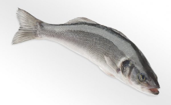Wolfsbarsch (Loup de Mer), ausgenommen, tiefgekühlt, 300-400g pro Stück, 3-4 Stück im 1kg Beutel Wolfsbarsch (Loup de Mer), ausgenommen, tiefgekühlt, 300-400g pro Stück, 3-4 Stück im 1kg Beutel