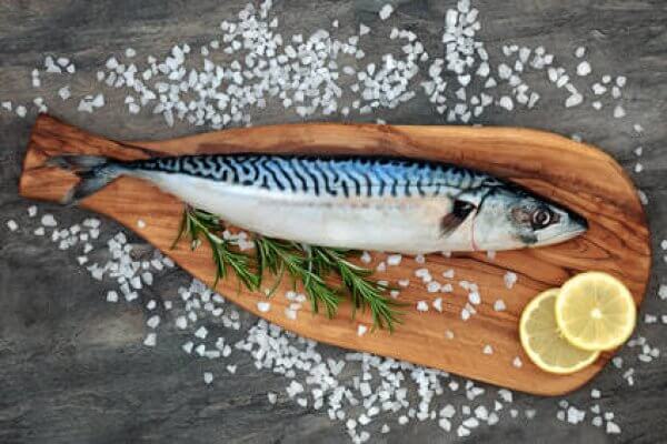 Makrele, ganze Fische, tiefgekühlt, ca. 440g pro Stück Makrele, ganze Fische, tiefgekühlt, ca. 440g pro Stück