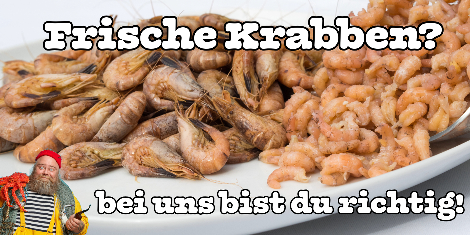 Frische Krabben und Garnelen auf weißem Teller