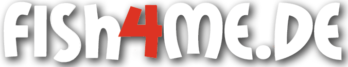 Zur Startseite gehen