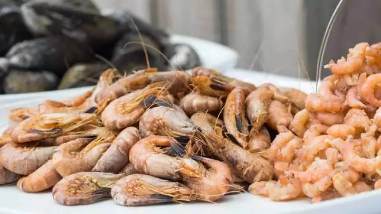 frische Nordseekrabben ganz und gepult auf Teller